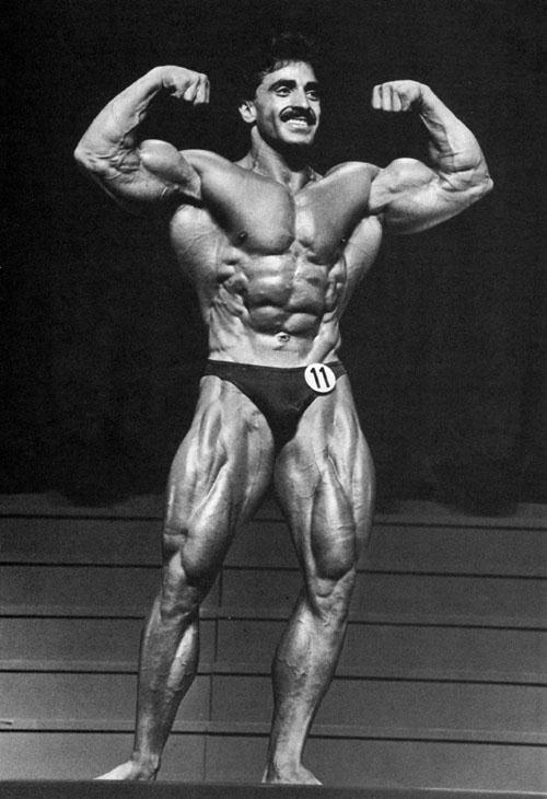 Samir Bannout Mr. Olympia's Muscle Mastery: The Complete Guide to Building  and Shaping Your Body Shoulder Arm, Samir Bannout, Samir Bannout, Mr.  Olympia png | PNGEgg